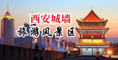 黑丝淫水中国陕西-西安城墙旅游风景区